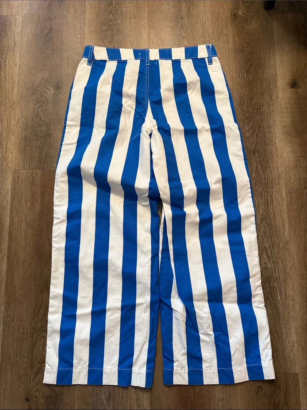 Urban Outfitters BDG Eva Canvas Wide Leg Crop Pant Blue Striped Pants Size 27 - Picture 5 of 15